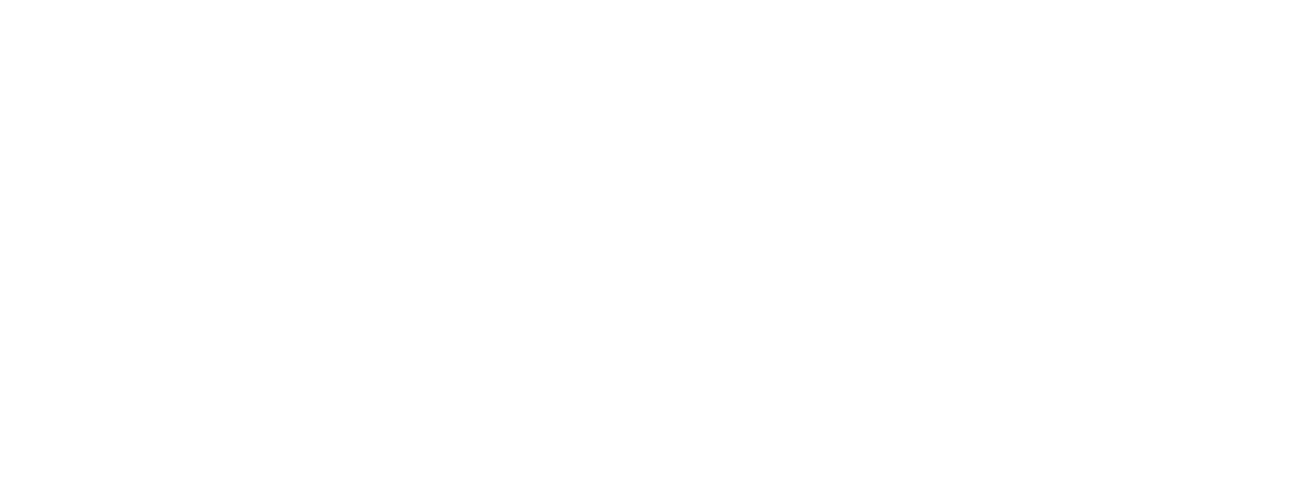 FO Foundation